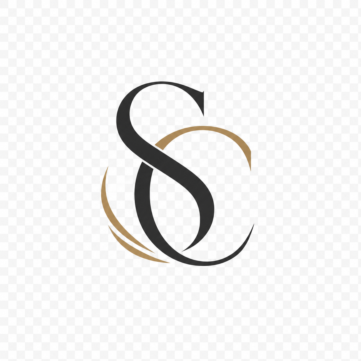 Shashi Consultancy Logo
